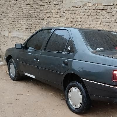 پژو 405 GL - دوگانه سوز CNG - 1380