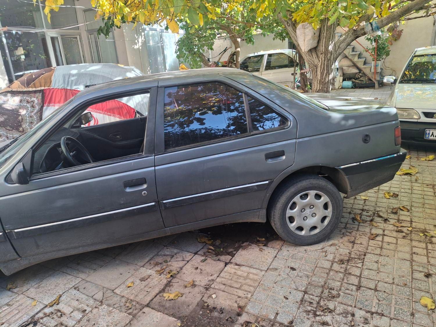 پژو 405 GLI - دوگانه سوز CNG - 1384