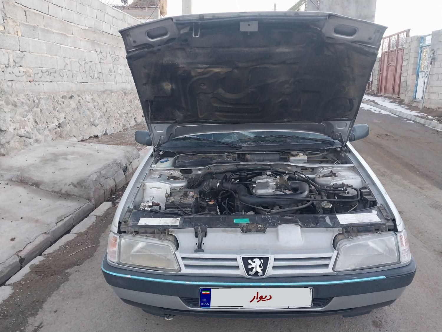 پژو 405 GL - دوگانه سوز CNG - 1389