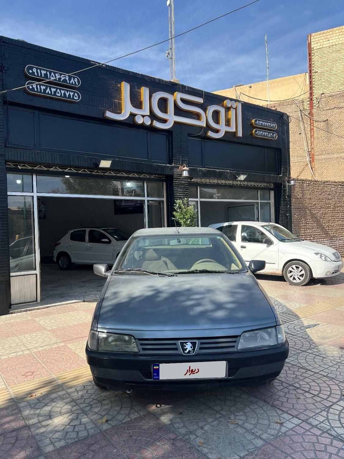 پژو 405 GLX - دوگانه سوز - 1393