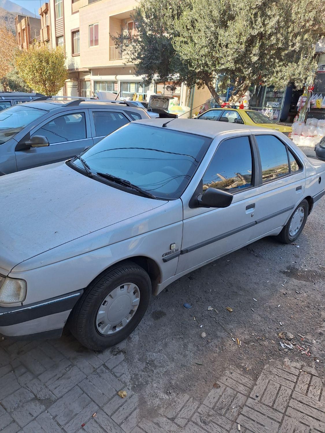 پژو 405 GL - دوگانه سوز CNG - 1393