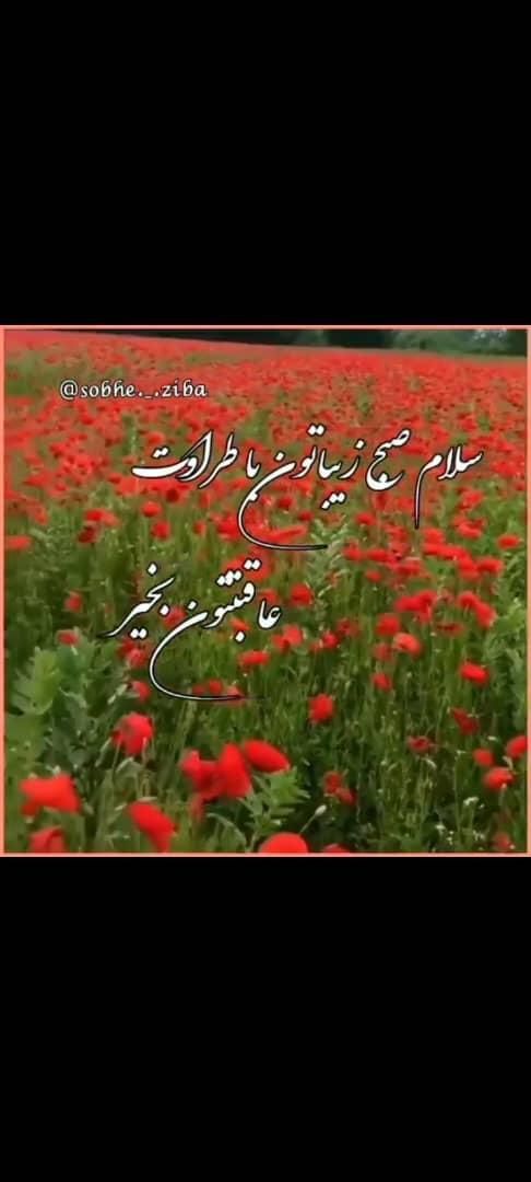 خودرو تیبا، 2 آگهی ann_13621752