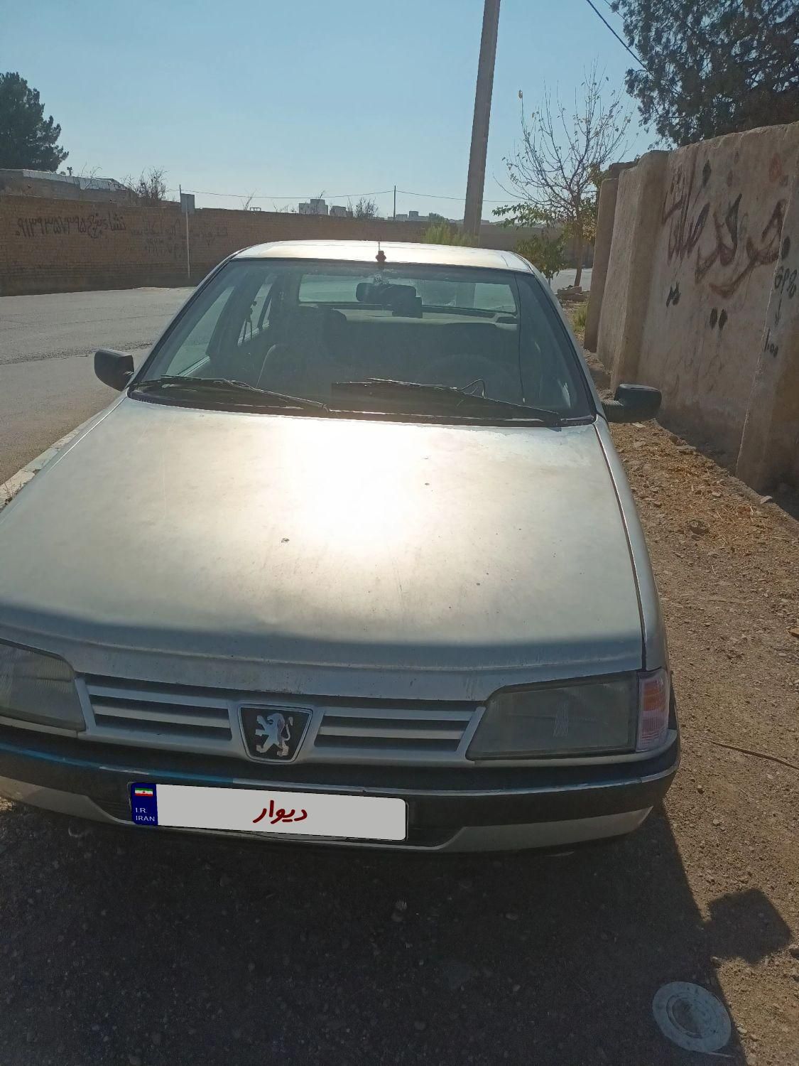 پژو 405 GL - دوگانه سوز CNG - 1390