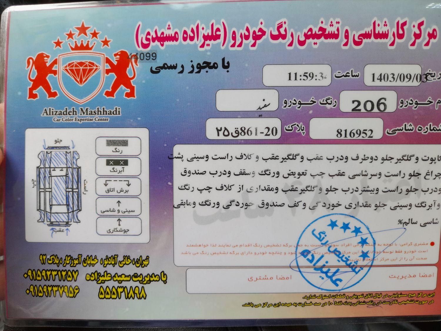 پژو 206 تیپ 2 - 1395