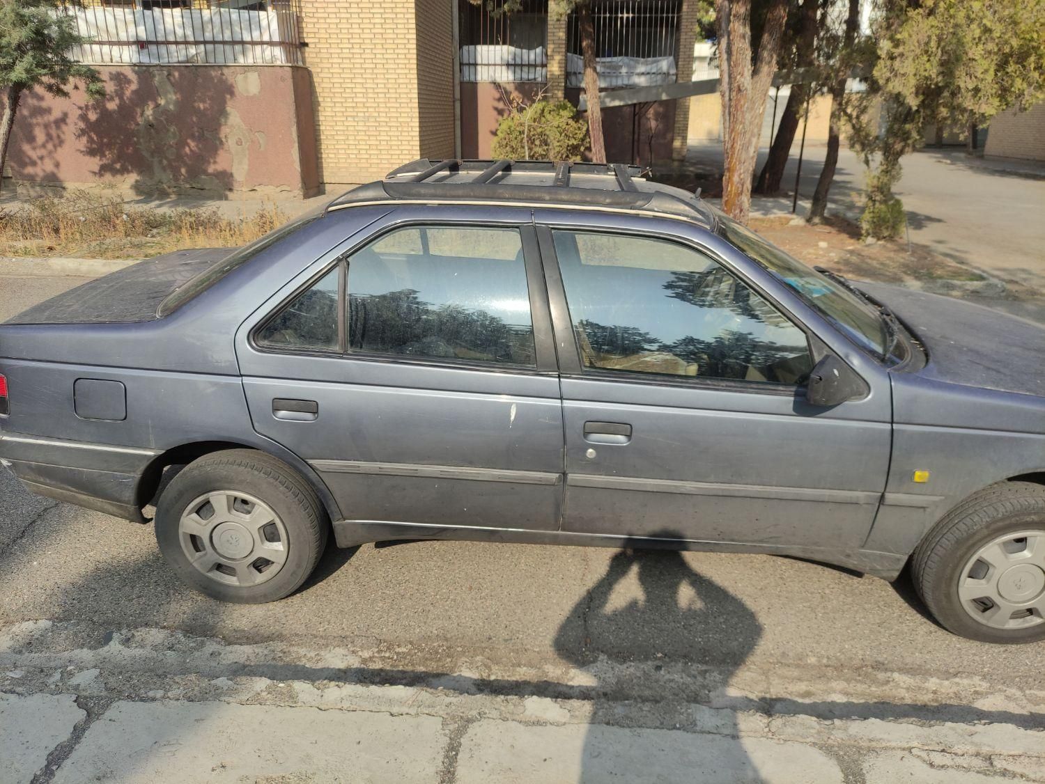 پژو 405 GL - دوگانه سوز CNG - 1394