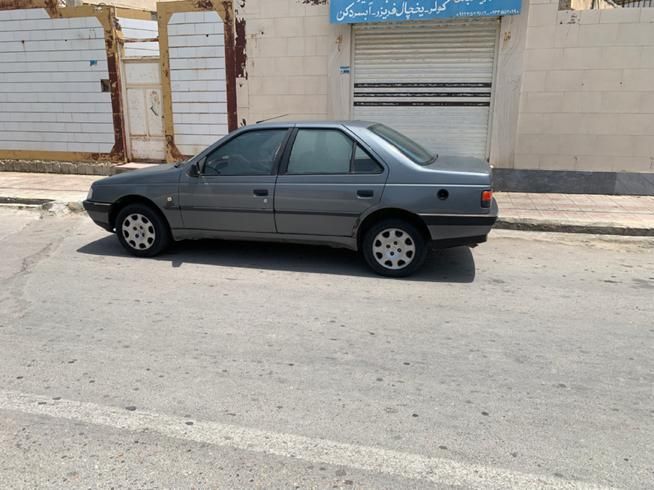 پژو 405 GL - دوگانه سوز CNG - 1390