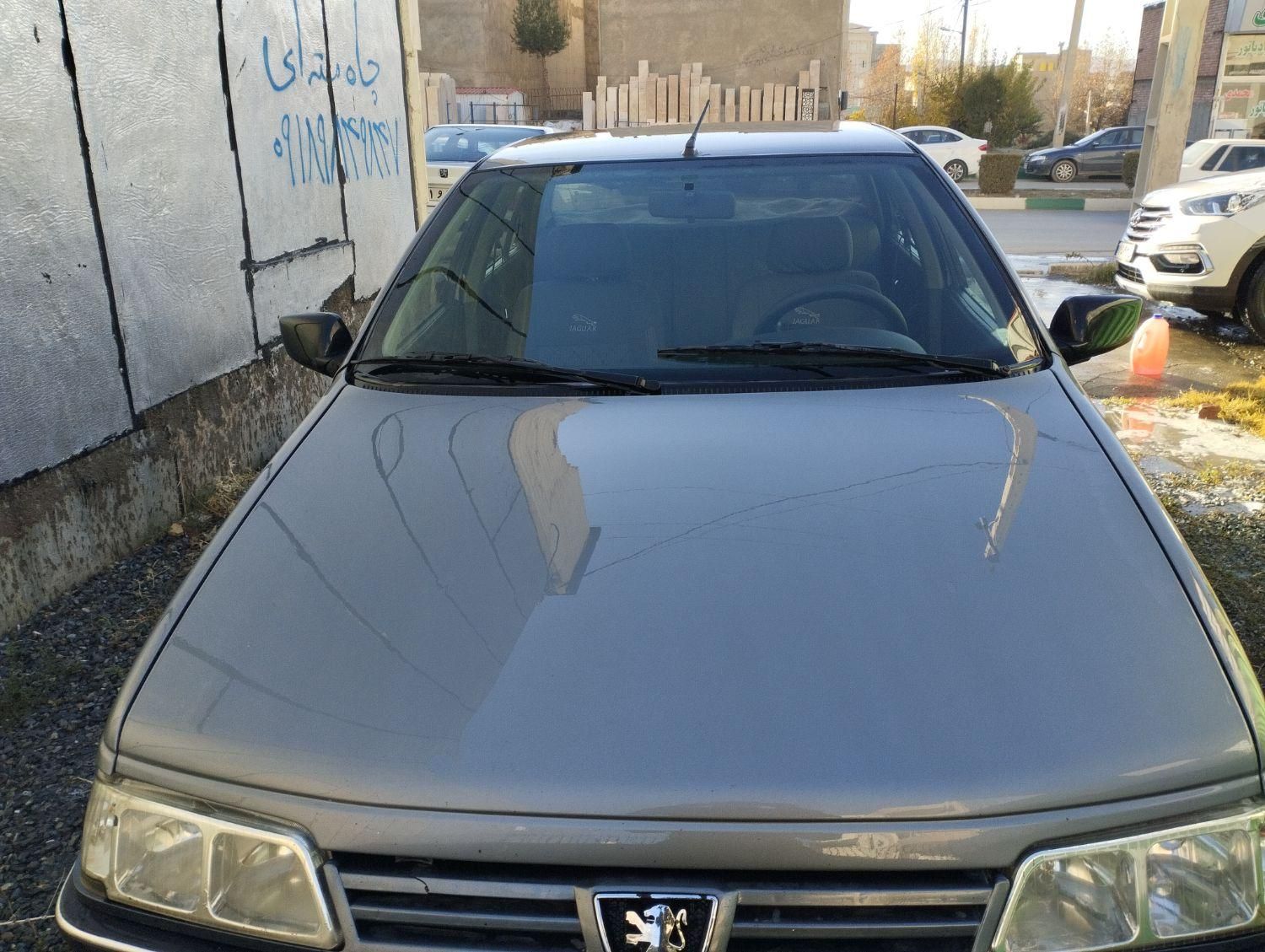 پژو 405 GL - دوگانه سوز CNG - 1389