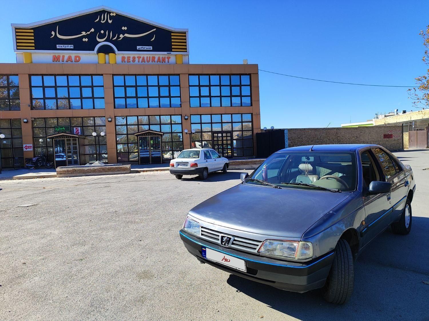 پژو 405 GL - دوگانه سوز CNG - 1393