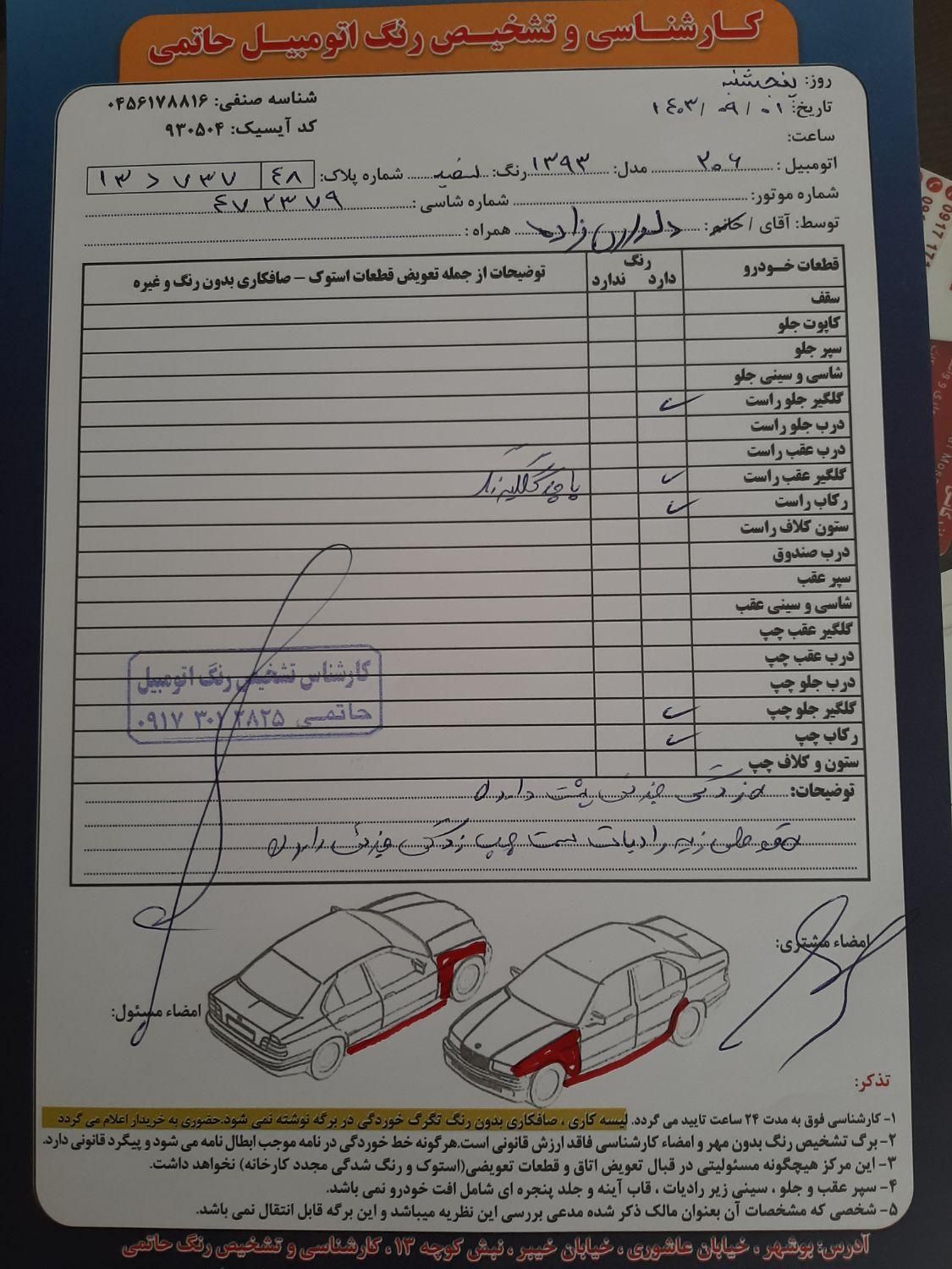 پژو 206 تیپ 5 - 1393