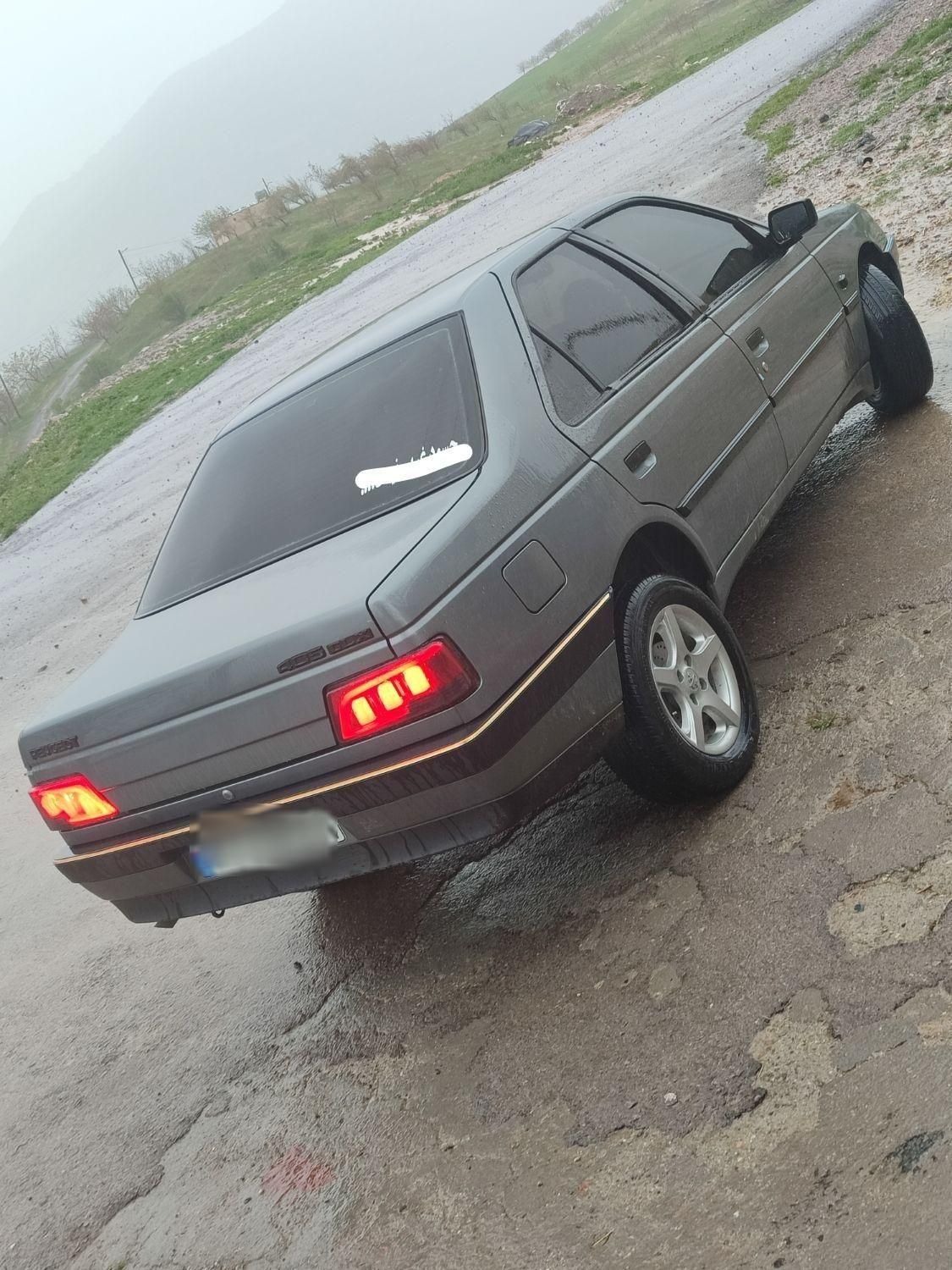 پژو 405 GL - دوگانه سوز CNG - 1393