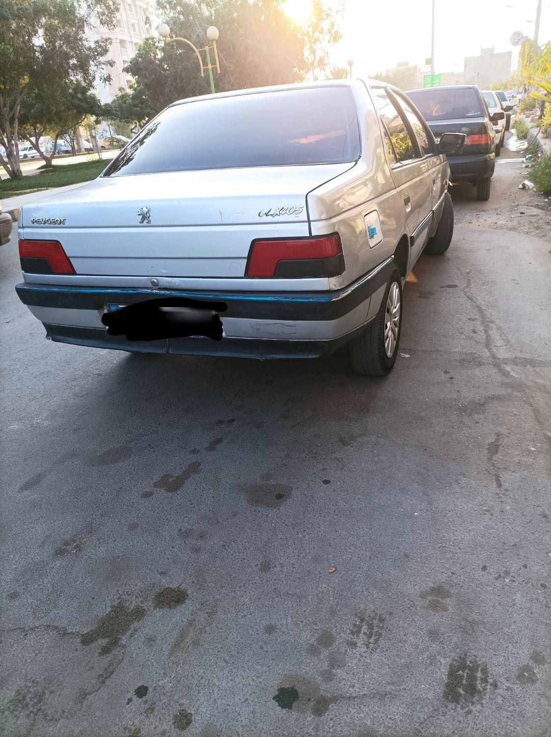 پژو 405 GLI - دوگانه سوز CNG - 1393