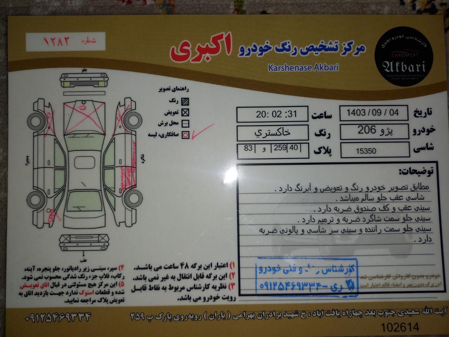 پژو 206 تیپ 5 - 1394