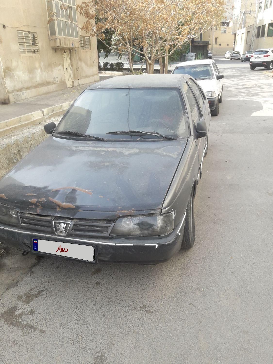 پژو 405 GL - دوگانه سوز CNG - 1373