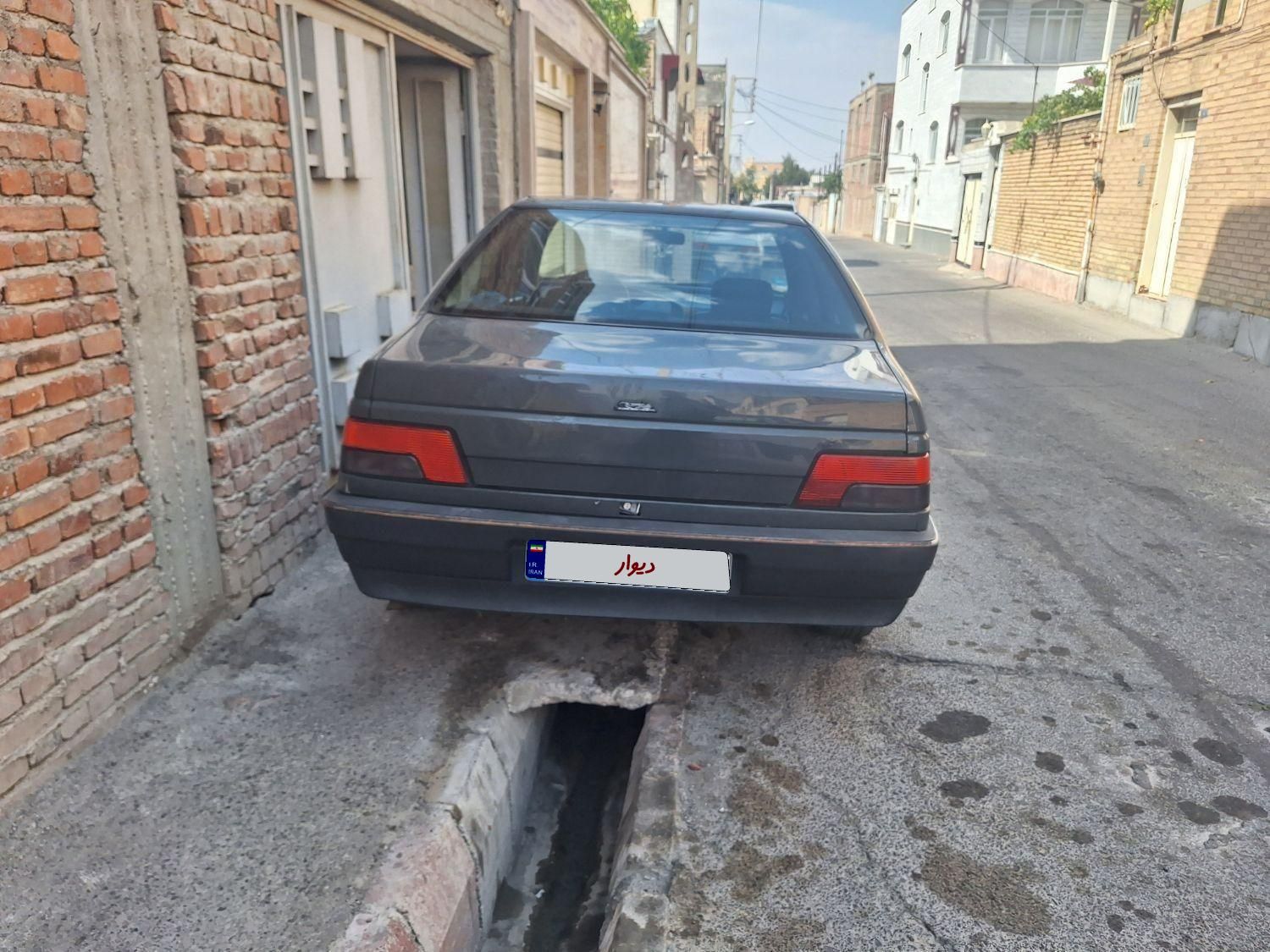 پژو 405 GLI - دوگانه سوز CNG - 1384