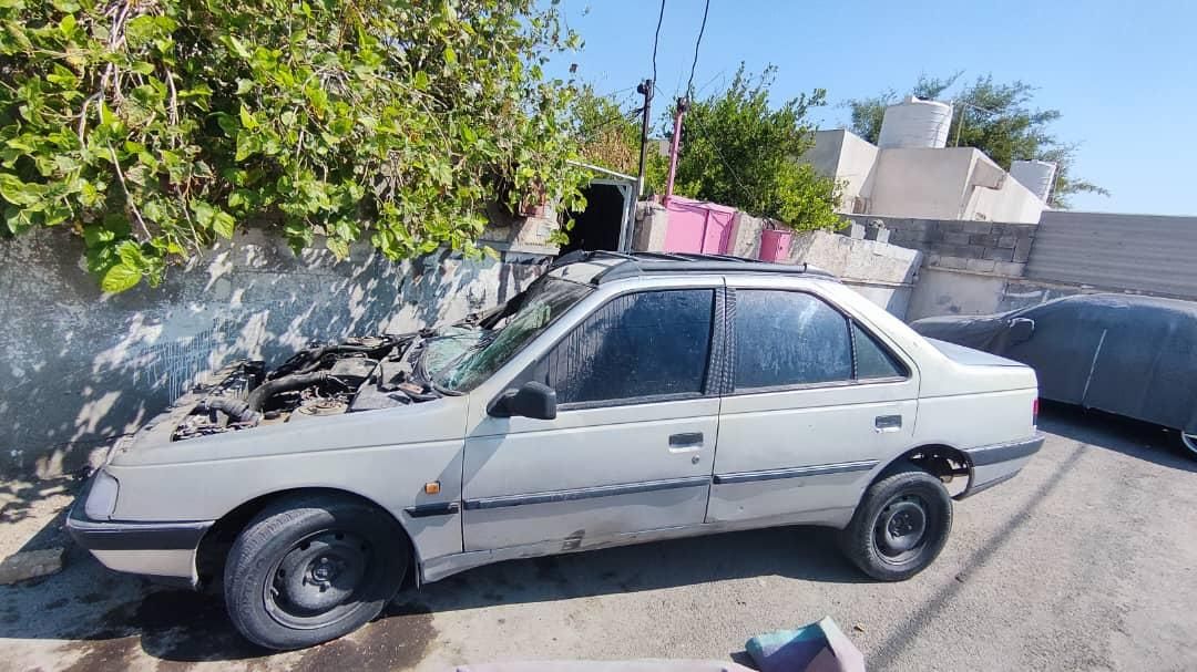 پژو 405 GLI - دوگانه سوز CNG - 1387