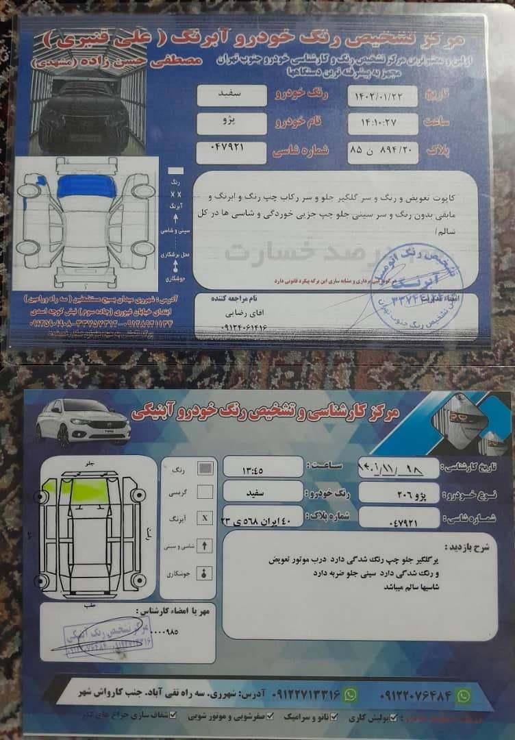 پژو 206 تیپ 2 - 1388