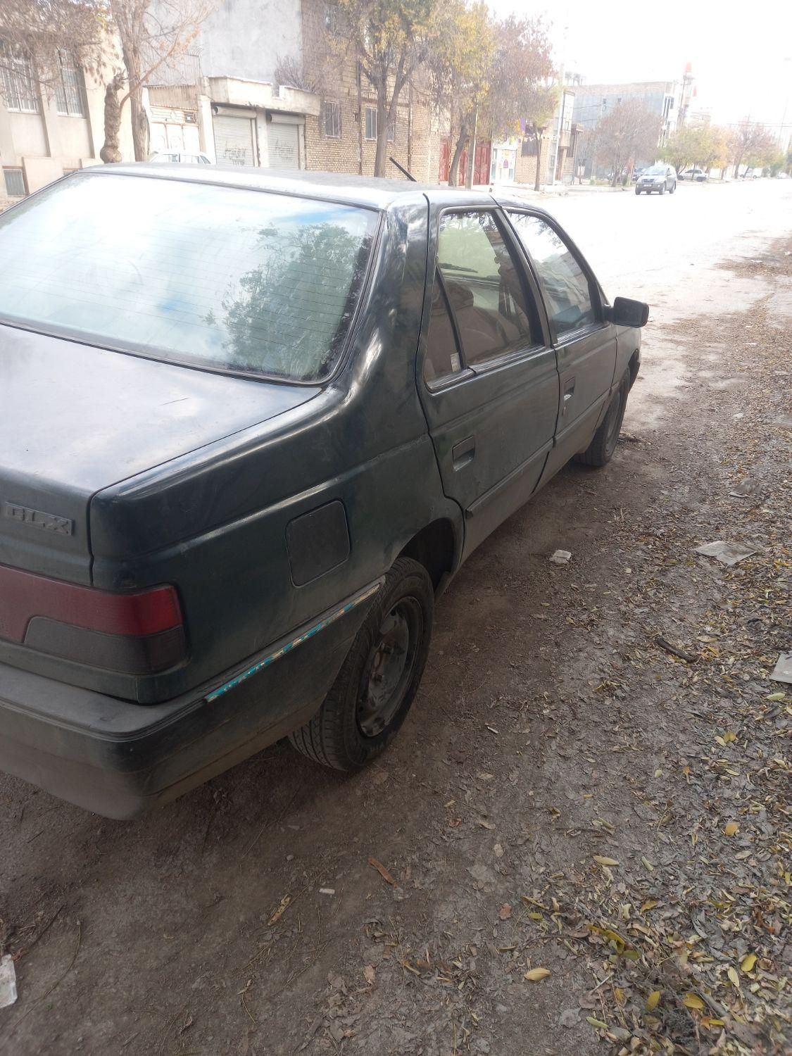 پژو 405 GLI - دوگانه سوز CNG - 1384