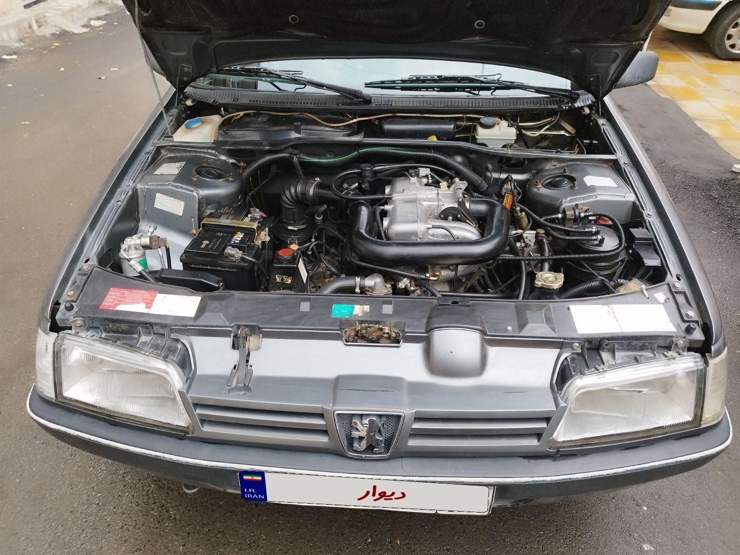 پژو 405 GLI - دوگانه سوز CNG - 1390