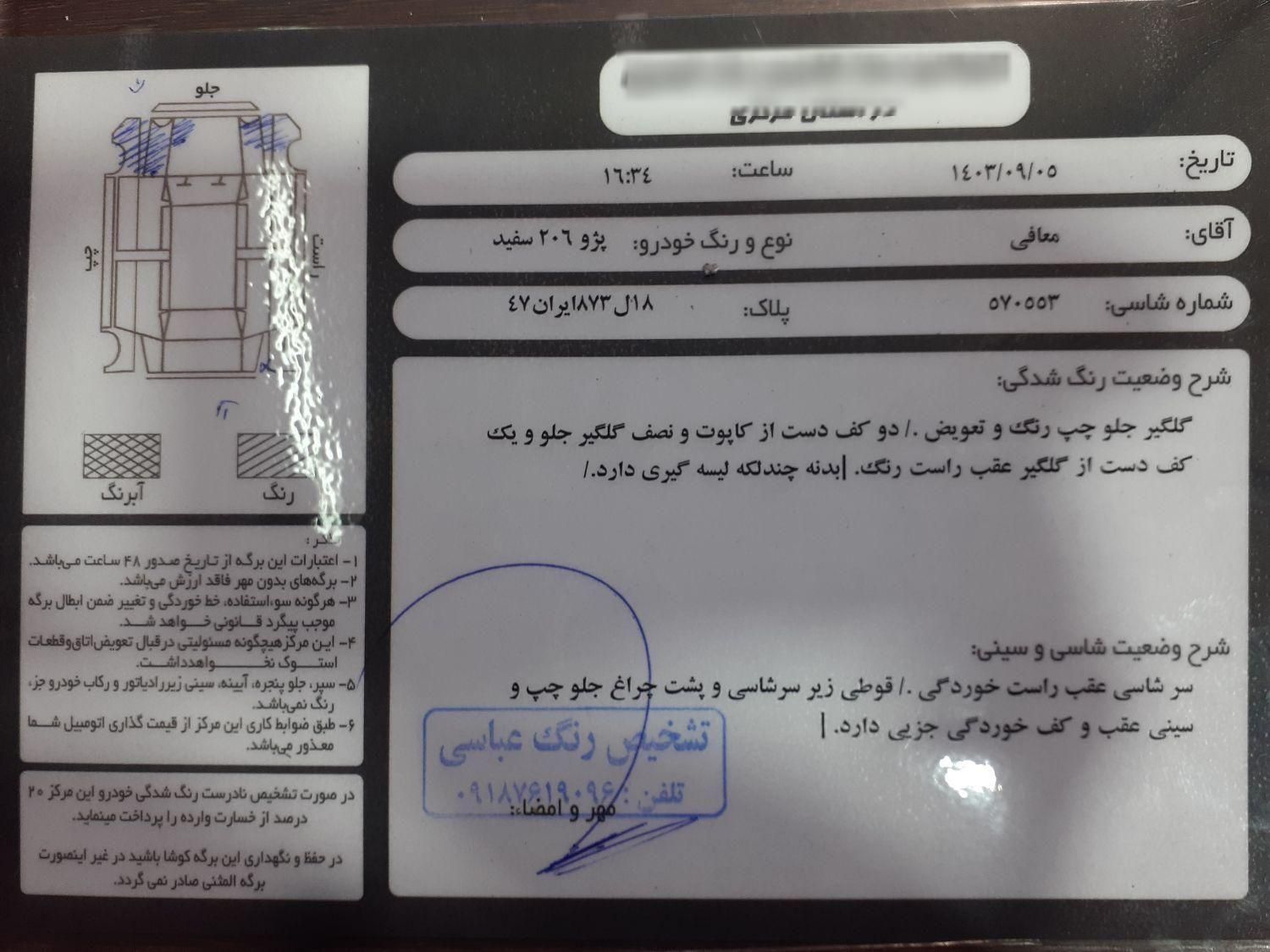 پژو 206 تیپ 2 - 1391