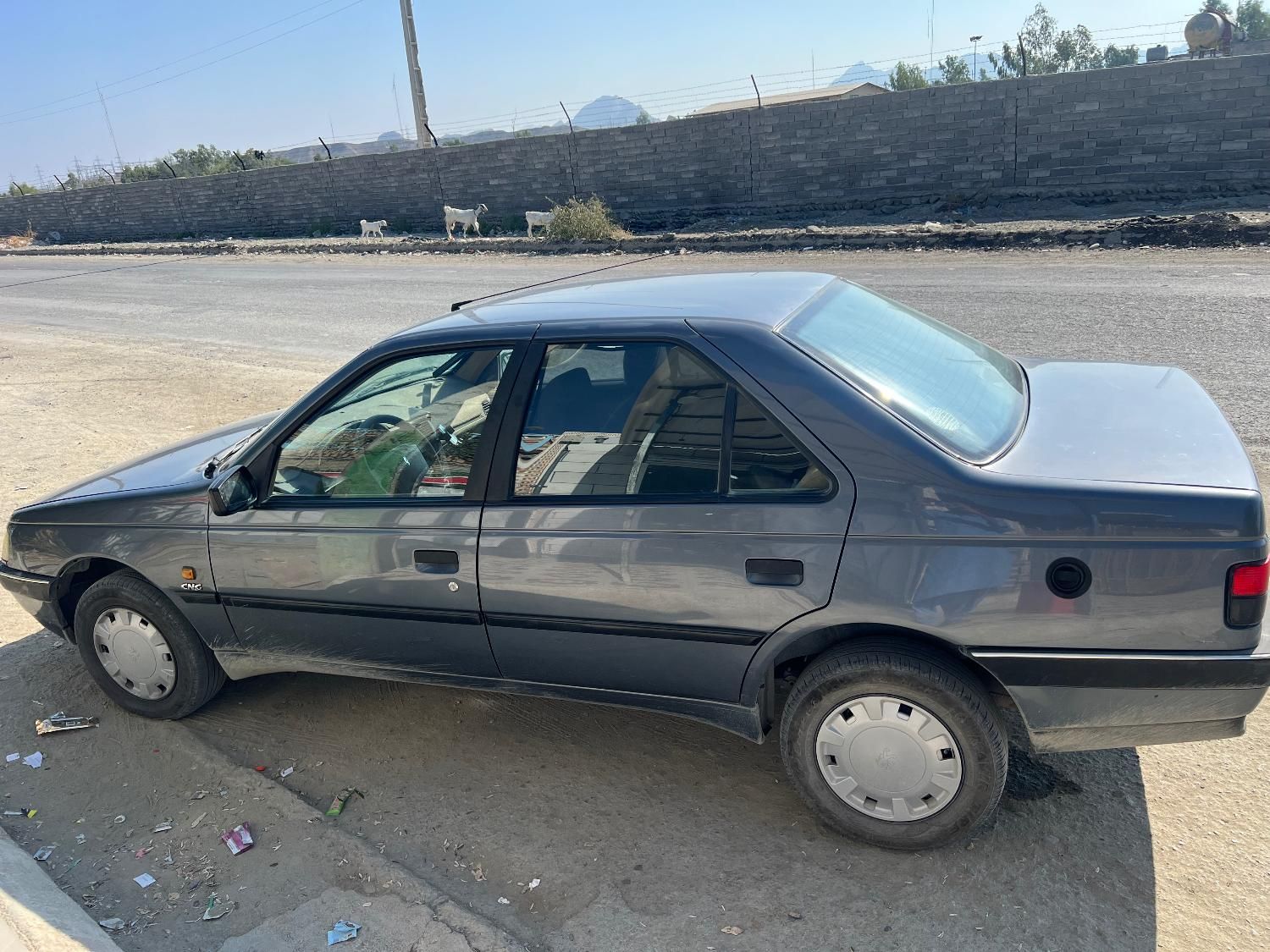 پژو 405 GL - دوگانه سوز CNG - 1397