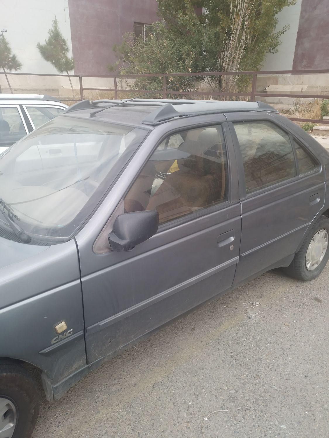 پژو 405 GLI - دوگانه سوز CNG - 1395