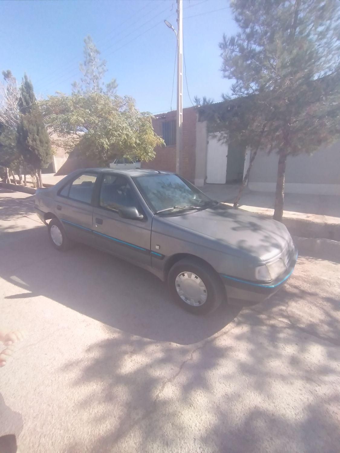 پژو 405 GL - دوگانه سوز CNG - 1391