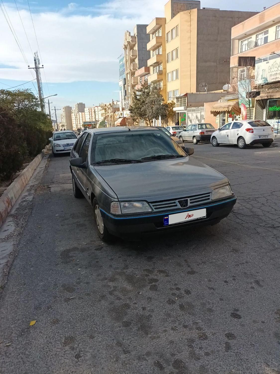 پژو 405 GL - دوگانه سوز CNG - 1390