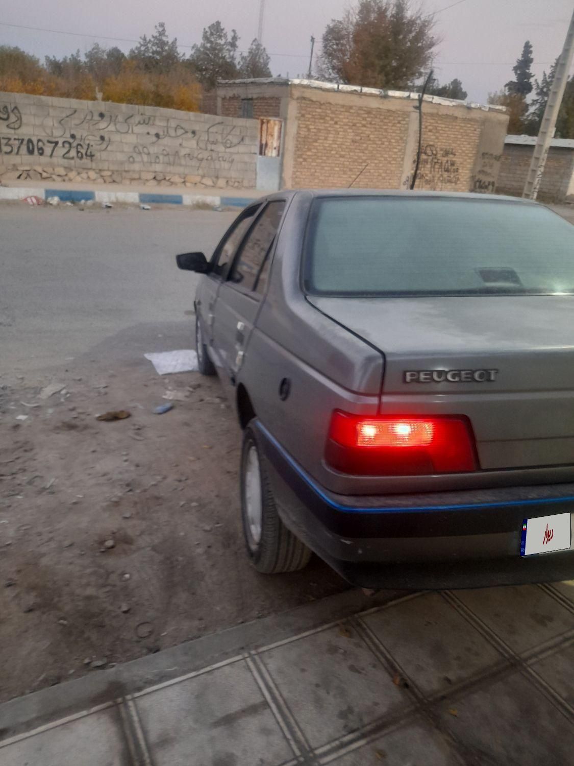 پژو 405 GL - دوگانه سوز CNG - 1369