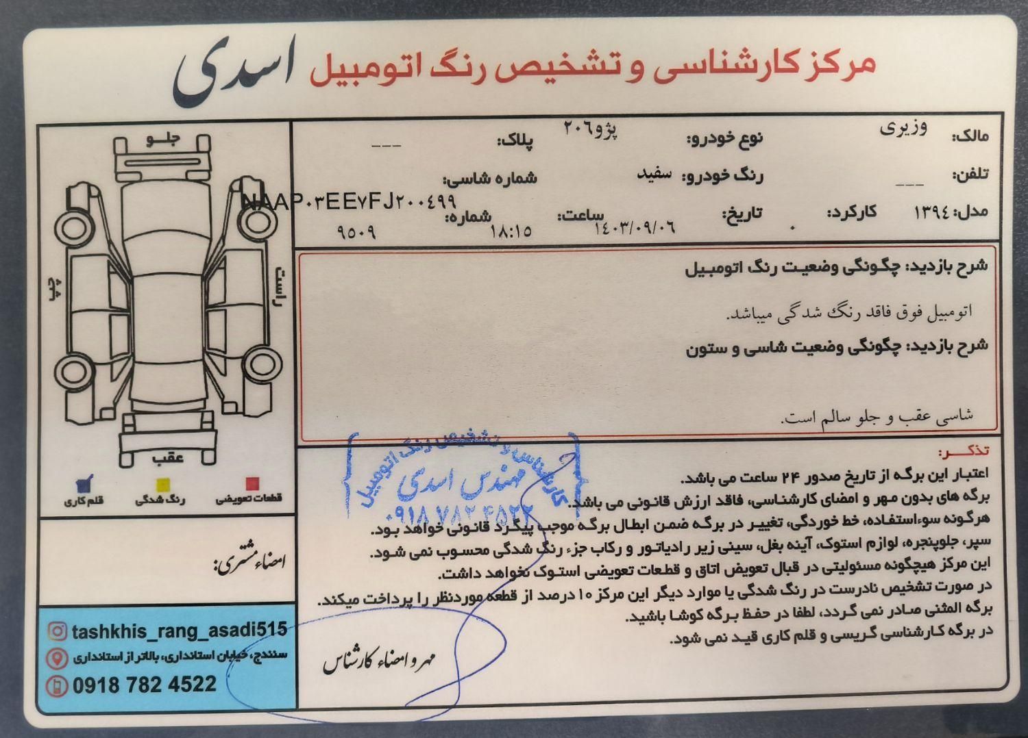 پژو 206 تیپ 2 - 1394