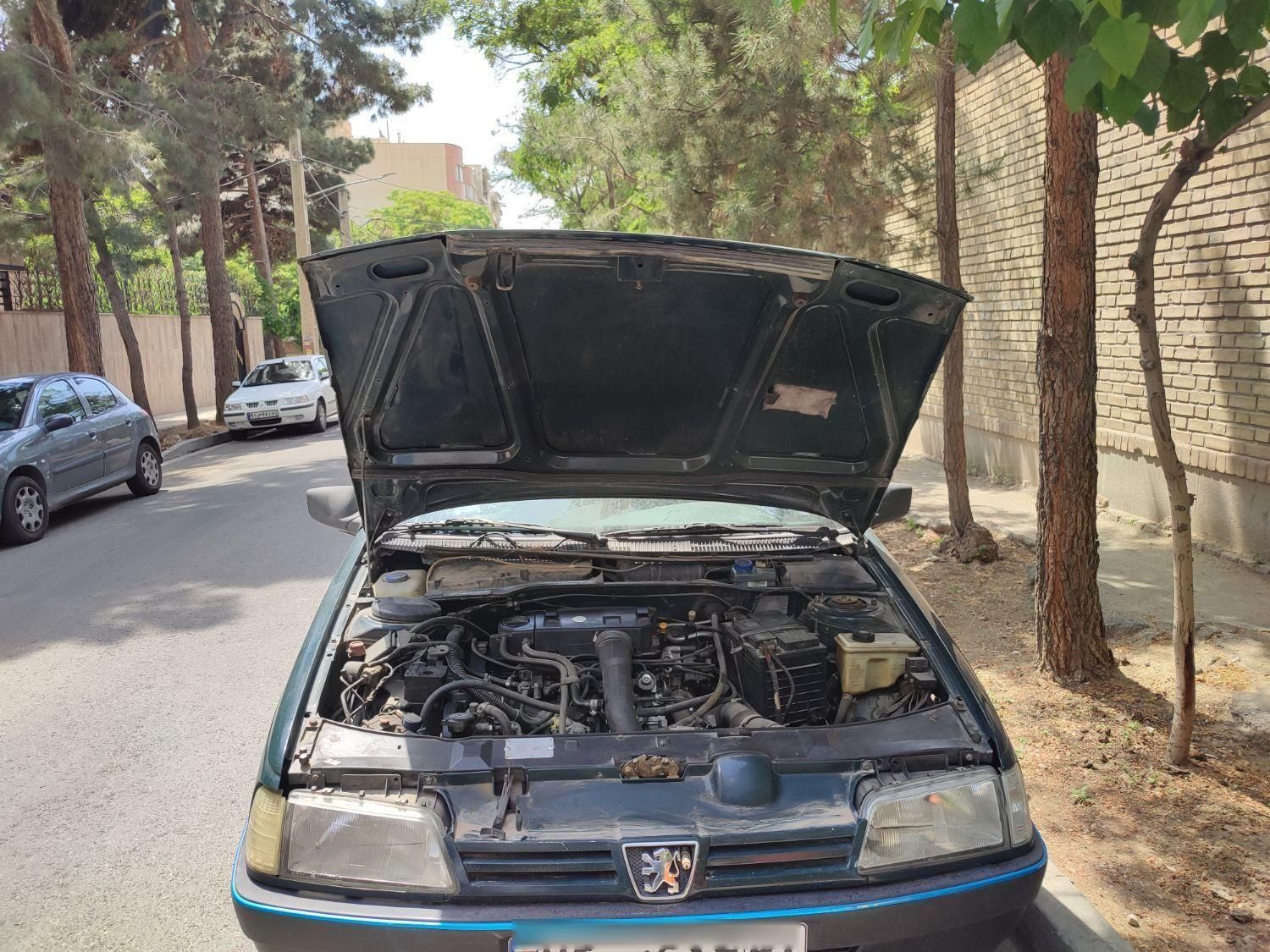 پژو 405 GLI - دوگانه سوز CNG - 1384