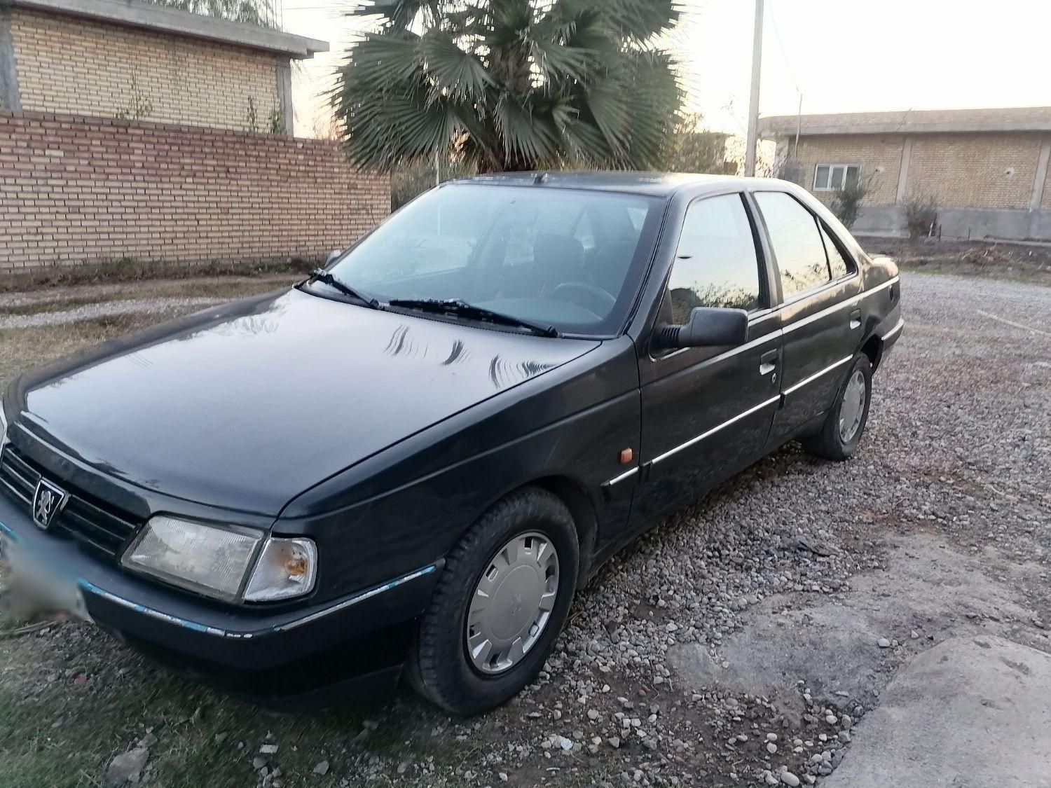 پژو 405 GLI - دوگانه سوز CNG - 1384