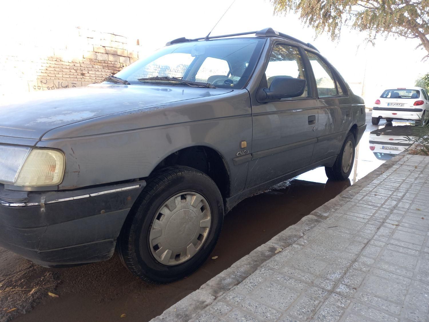 پژو 405 GL - دوگانه سوز CNG - 1373