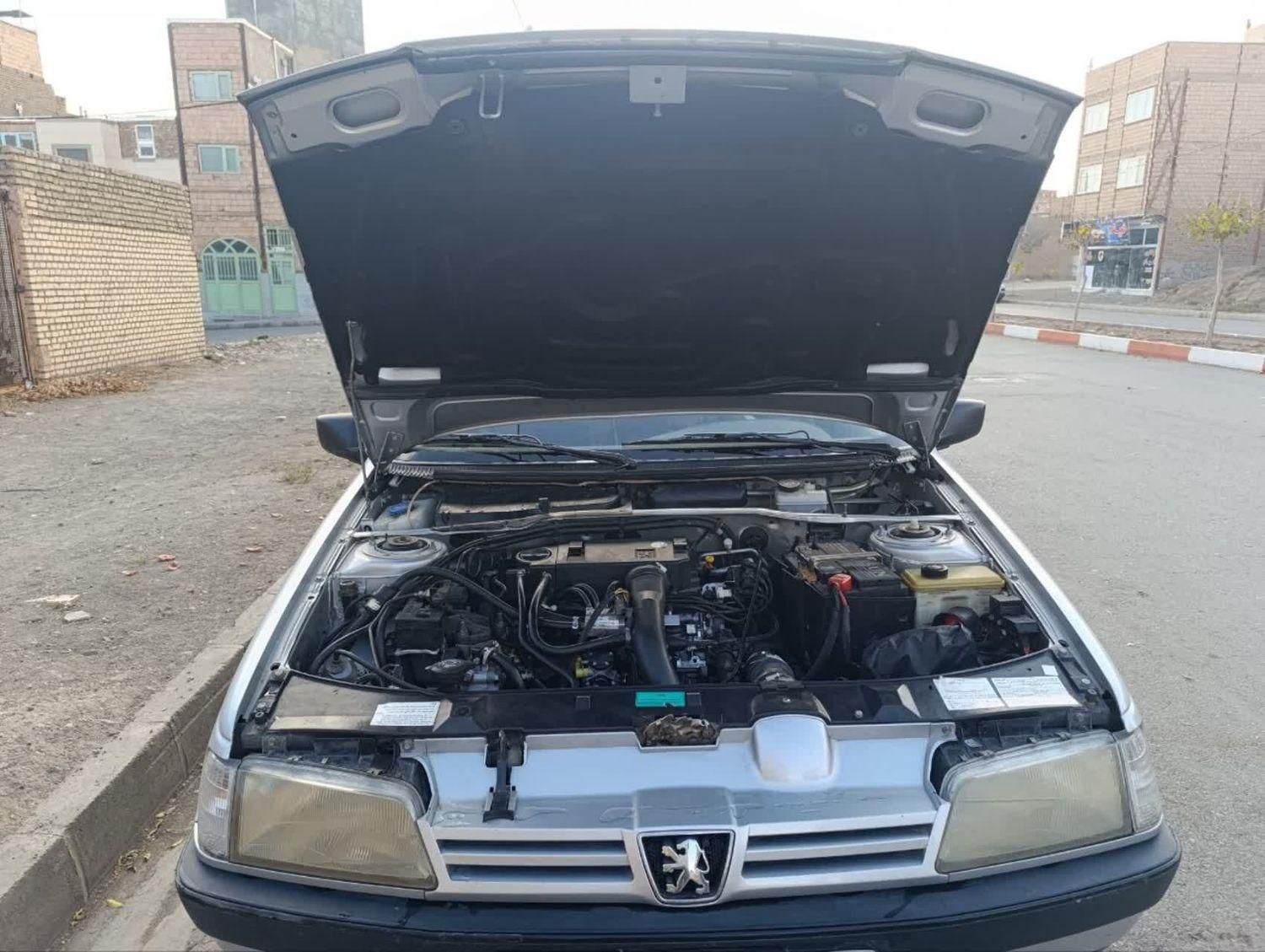 پژو 405 GL - دوگانه سوز CNG - 1373