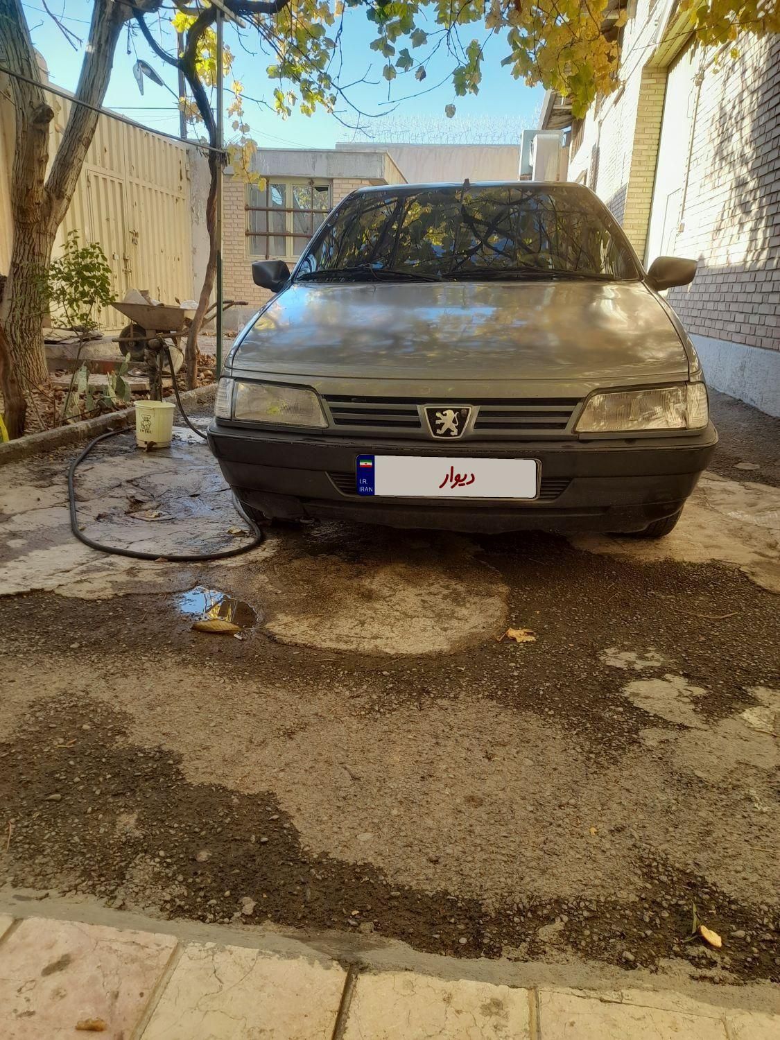 پژو 405 GL - دوگانه سوز CNG - 1369