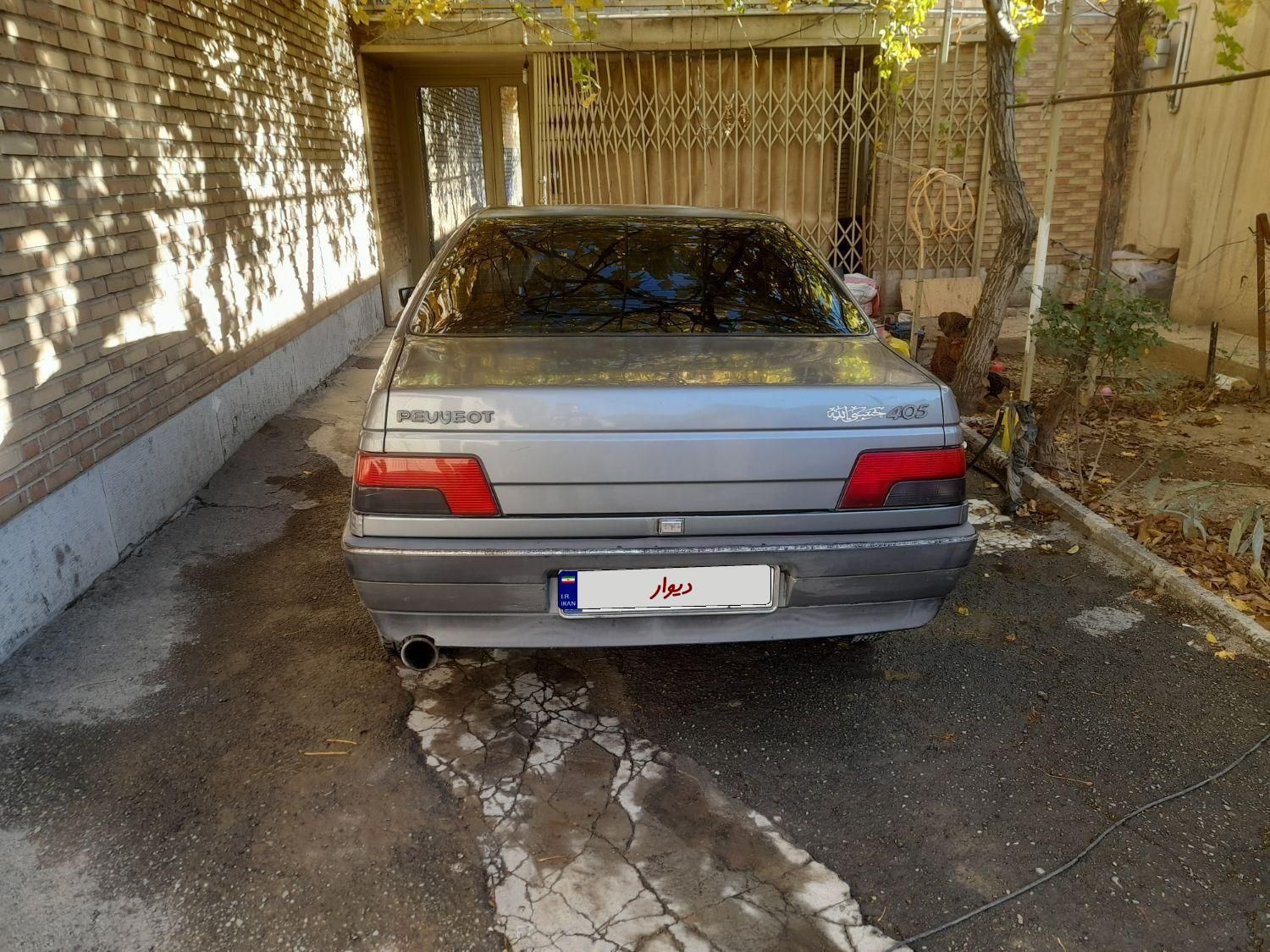 پژو 405 GL - دوگانه سوز CNG - 1369