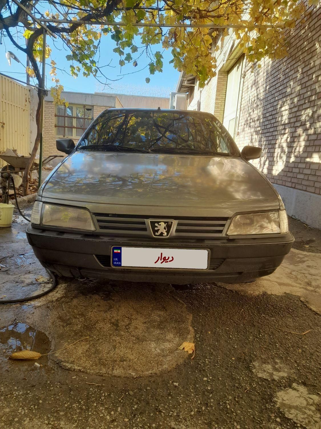 پژو 405 GL - دوگانه سوز CNG - 1369