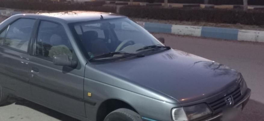 پژو 405 GL - دوگانه سوز CNG - 1373