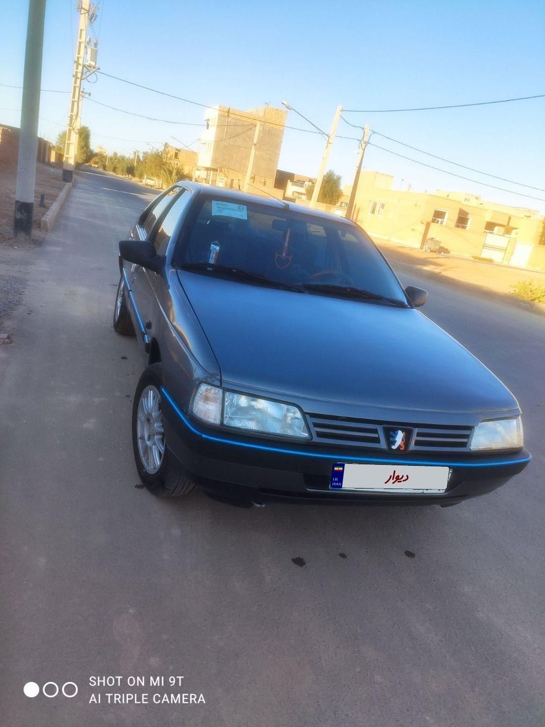 پژو 405 GL - دوگانه سوز CNG - 1370