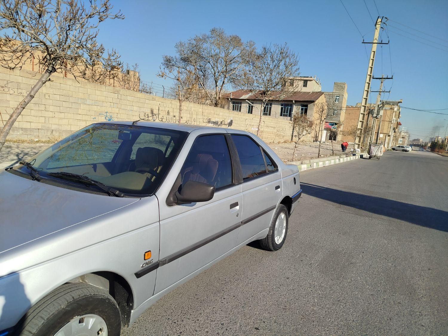 پژو 405 GL - دوگانه سوز CNG - 1373