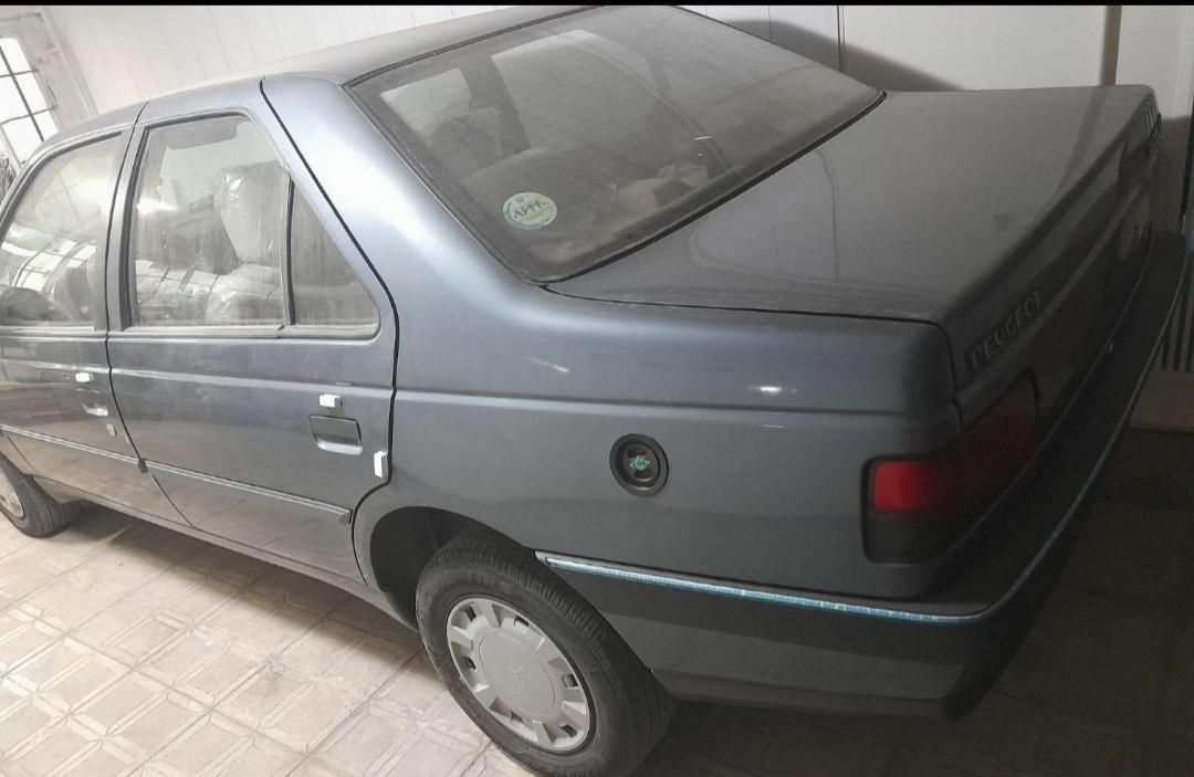 پژو 405 GL - دوگانه سوز CNG - 1369