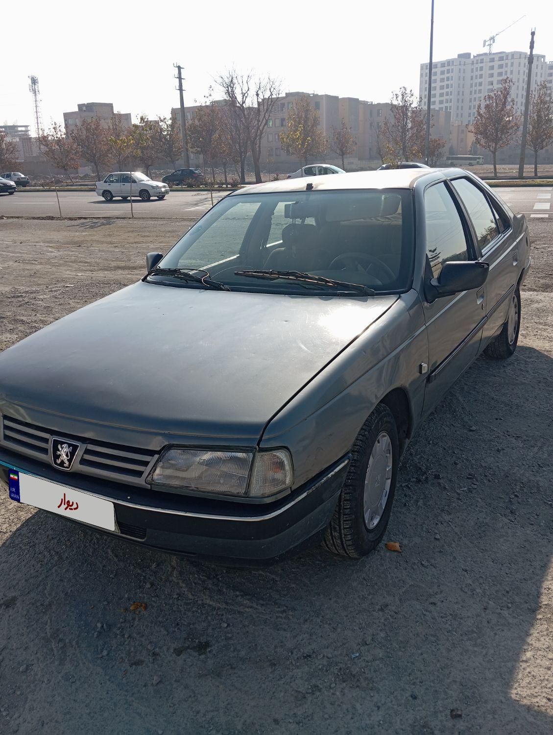 پژو 405 GL - دوگانه سوز CNG - 1373