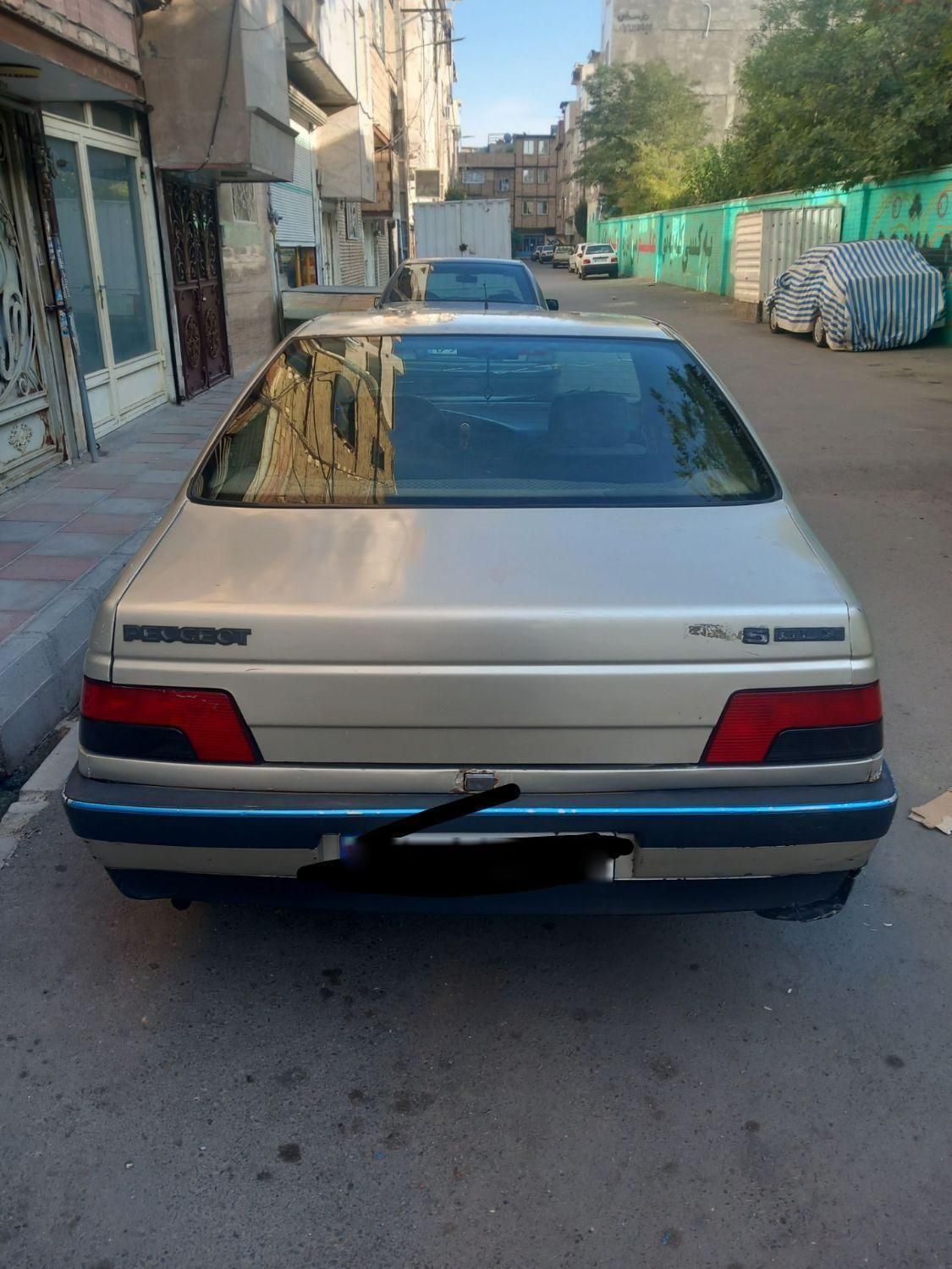 پژو 405 GLI - دوگانه سوز LPG - 1384