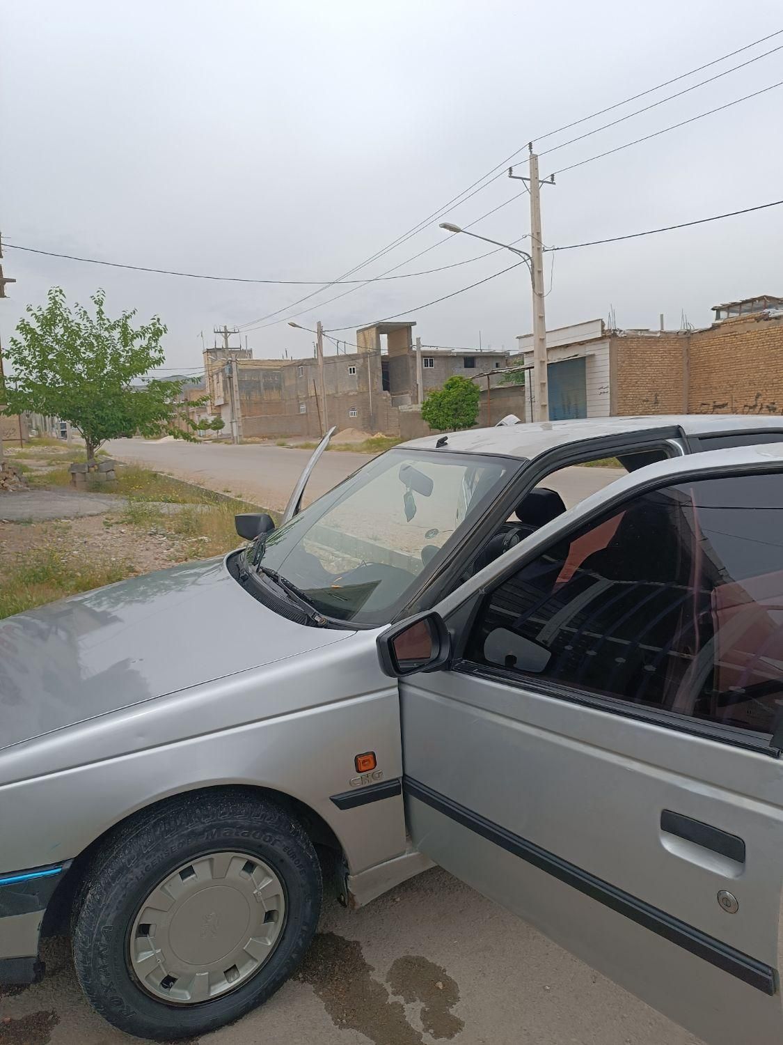 پژو 405 GL - دوگانه سوز CNG - 1369