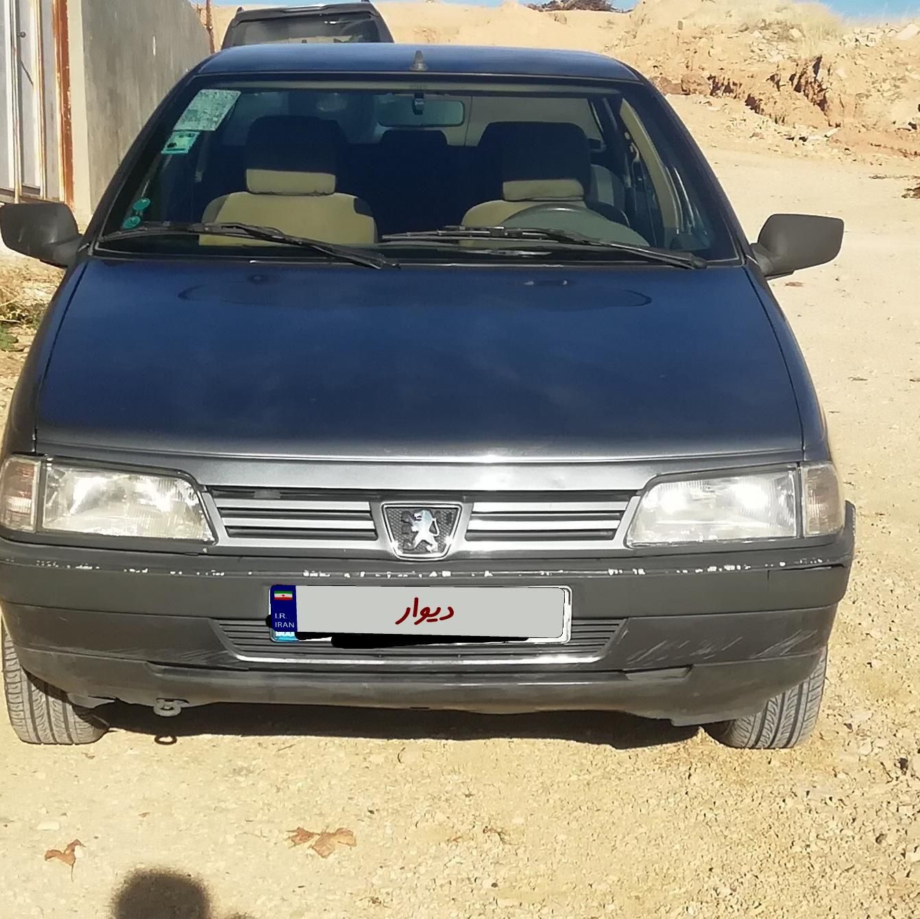 پژو 405 GL - دوگانه سوز CNG - 1369