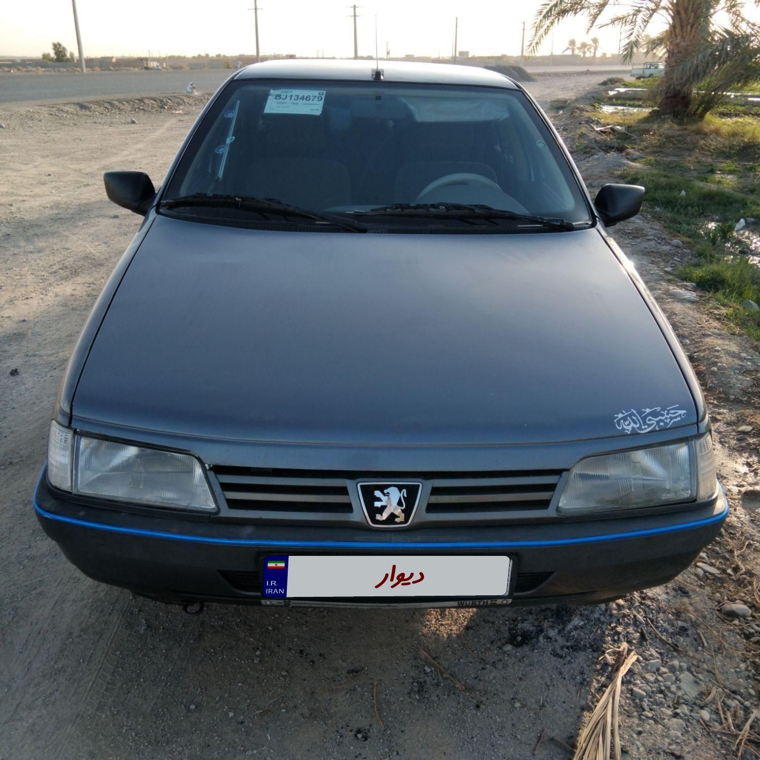 پژو 405 GL - دوگانه سوز CNG - 1369