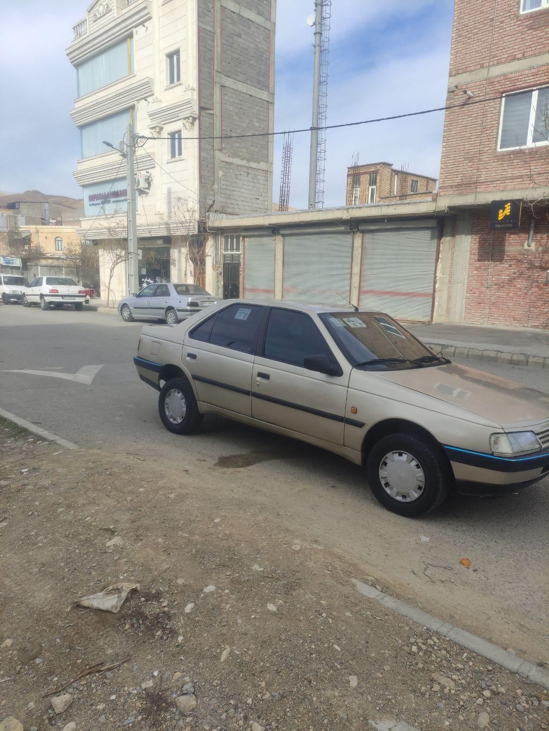 پژو 405 GL - دوگانه سوز CNG - 1373