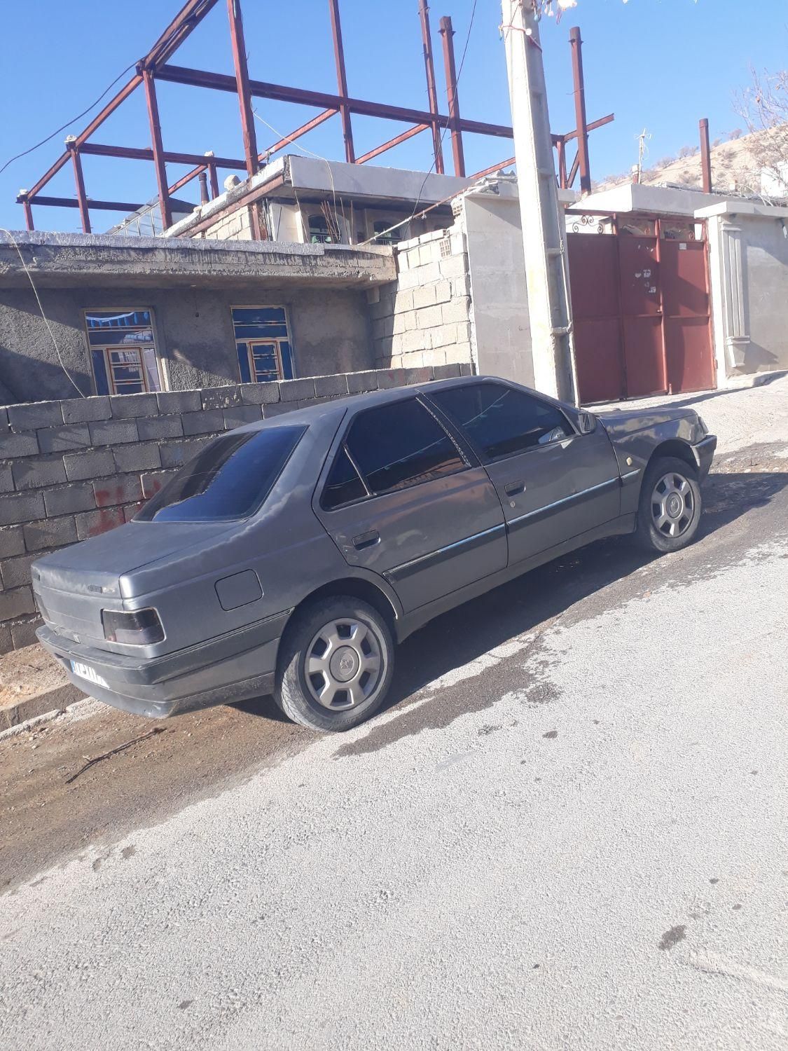 پژو 405 GL - دوگانه سوز CNG - 1370