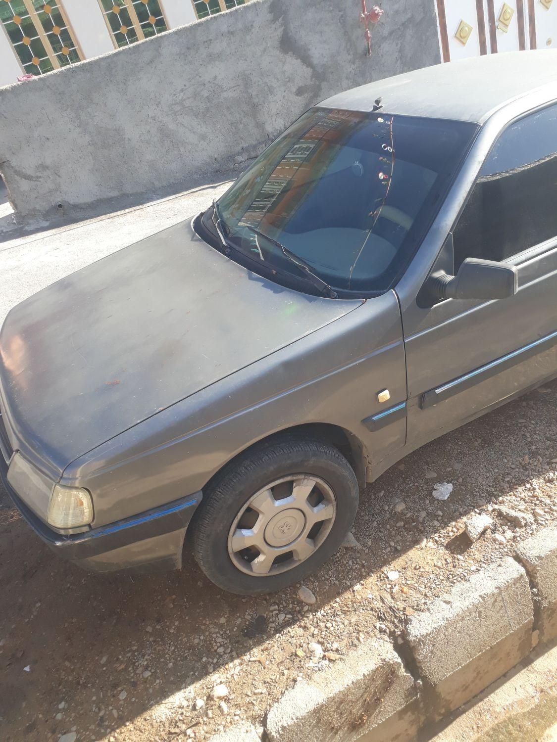 پژو 405 GL - دوگانه سوز CNG - 1370