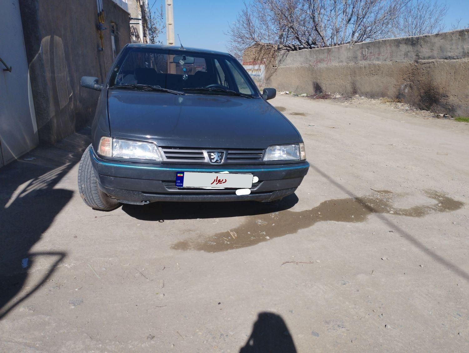 پژو 405 GLI - دوگانه سوز CNG - 1384