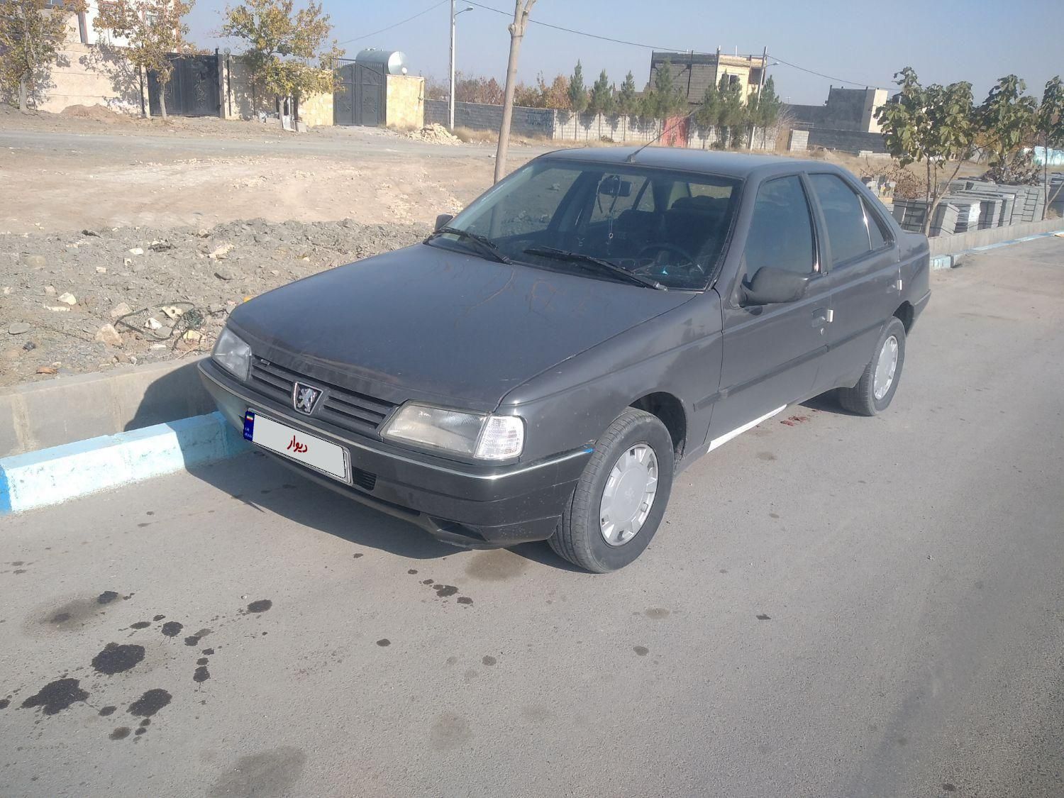 پژو 405 GLI - دوگانه سوز CNG - 1384